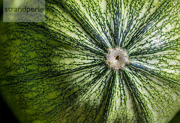 Extreme close up of the base of a green zucchini