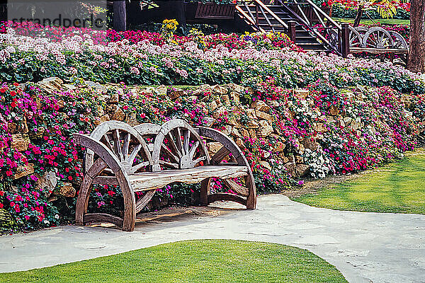 Thailand  Chiang Rai  Wagon wheel garden bench and flowers