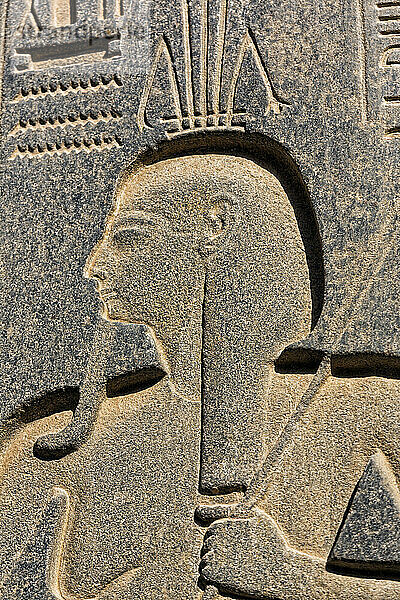 NA  Luxor Temple Egypt was the house of Amon Ra.