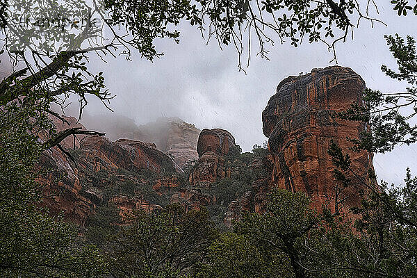 Sedona is located in the interior chaparral  semi-desert grassland  Great Basin conifer woodland biomes of northern Arizona. This is an example of the red rock that is very predominate oin the area. Many hiking trails are in the area to take in these amazing sights.