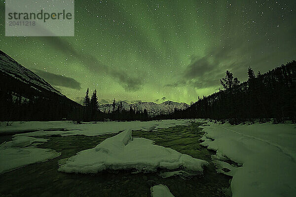 The northern lights brighten the sky above the Wheaton River  just outside of Whitehorse  Yukon.