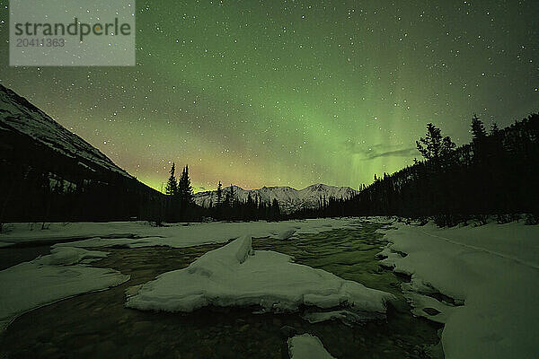 The northern lights brighten the sky above the Wheaton River  just outside of Whitehorse  Yukon.