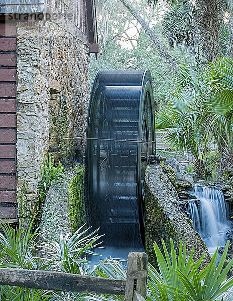 USA  Florida  Juniper Springs  Small waterfall beside waterwheel