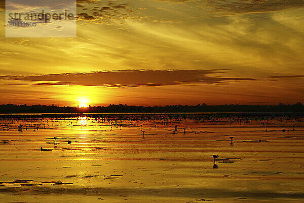 Beautiful sunrise on Pink Lotus Lake in Thailand.