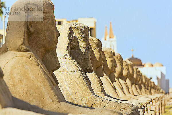 NA  Avenue of Sphinxes in Luxor Temple  Luxor  Egypt