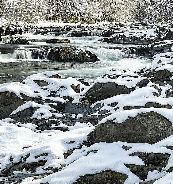 Snow on the Little Pigeon River in Greenbrier in the Great Smoky Mountains