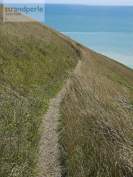 View of the English Channel from a cliff over Beachy Head walk  Eastbourne  East Sussex  UK © Renzo Frontoni