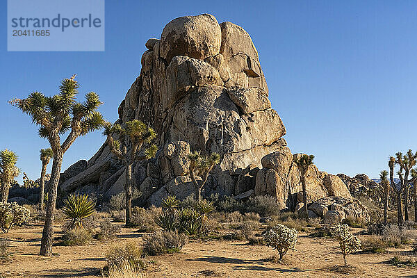 Striking rocks in Joshua Tree National Park located in southern California.