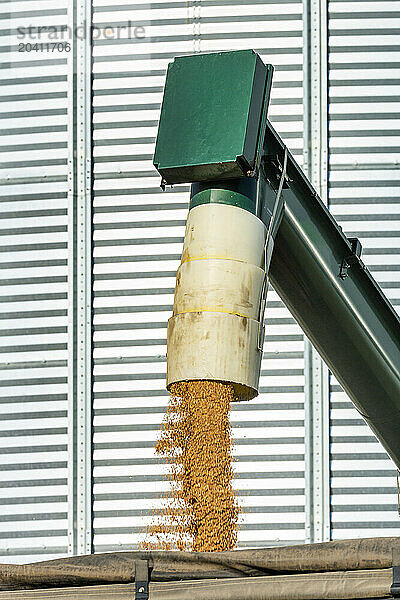 Close up of a grain auger filling a truck with a large metal grain bin in the background