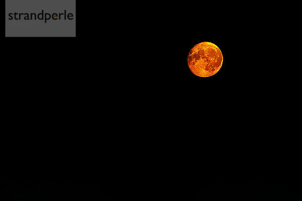 A full moon glowing with the warm light of the sun against a black sky