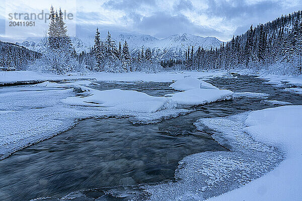 The snow covered mountains known as the grey ridge highlight the background of the Wheaton River as it flows stradily onward toward Bennett Lake  Yukon.