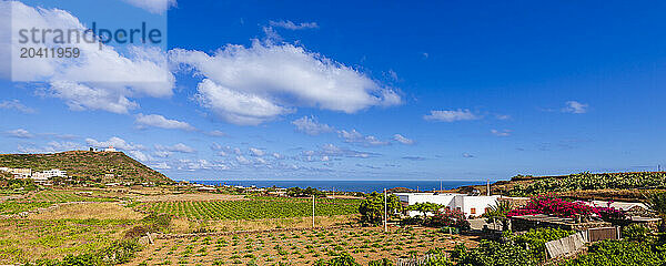 Pantelleria Island Sicily  Italy