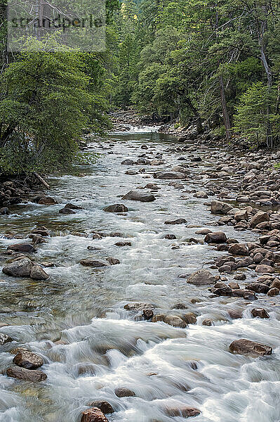 USA  California  Yosemite National Park  Rocky stream scene.