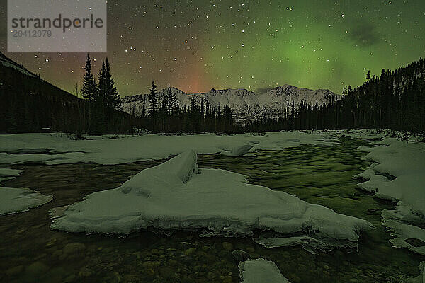 The northern lights brighten the sky above the Wheaton River  just outside of Whitehorse  Yukon.