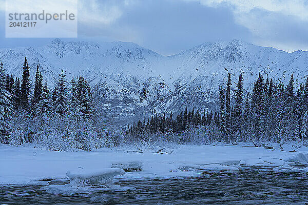 The snow covered mountains known as the grey ridge highlight the background of the Wheaton River as it flows stradily onward toward Bennett Lake  Yukon.