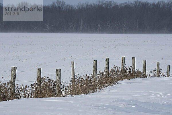 Winter scene in rural Ontario on a windy day. Fence posts leading into the distance.