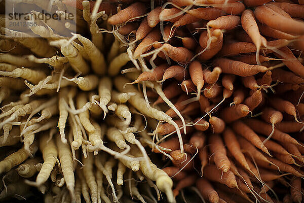 A selection of organic carrots at the Ojai Farmers' Market  Ojai  California.