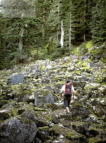 A middle aged male with a red backpack climbing a landslide of rocks that is partially covered with moss