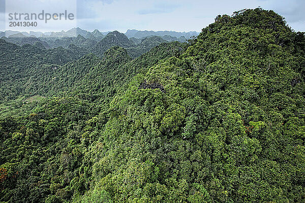 Cat Ba island