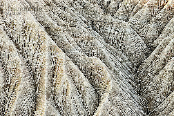 Bardenas Reales park in Navarra  Spain