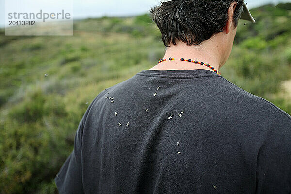 Flies gather on a man's back.