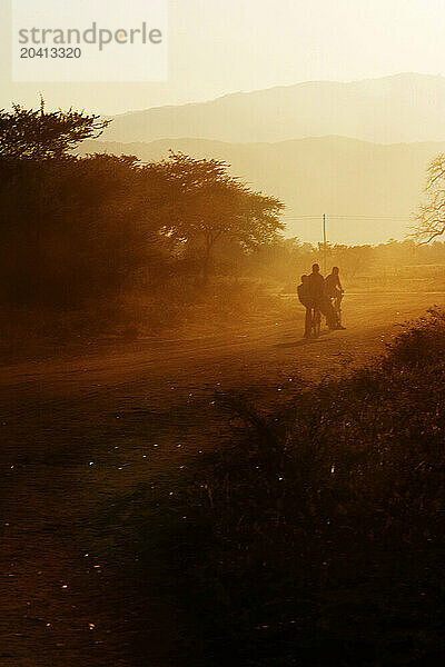 Three boys on bike at sunset  Chikwawa Distric  Shire valley