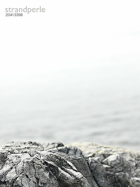 rocks on Maine beach