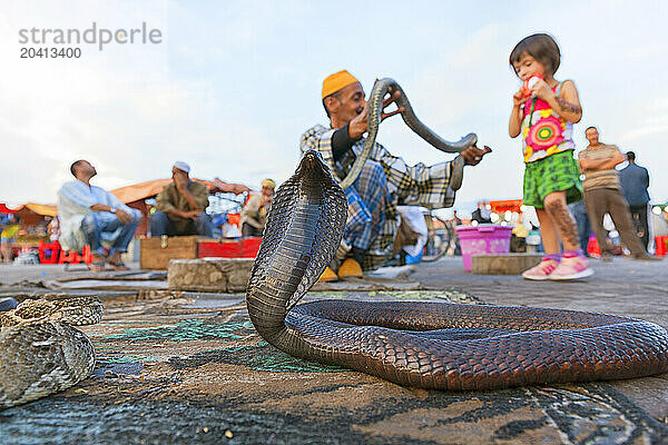 Snakes Performing At The Djemma El Fna In Marrakech  Morocco