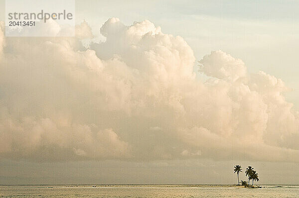 Palms on a tiny island at sunset.