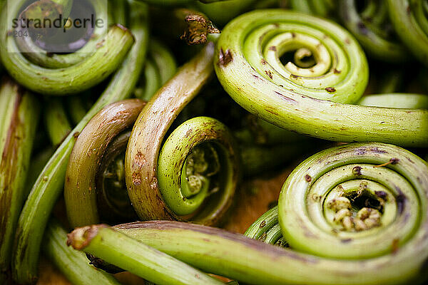 Organic home grown Fiddleheads.