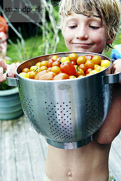 boy proudly eyes tomato harvest