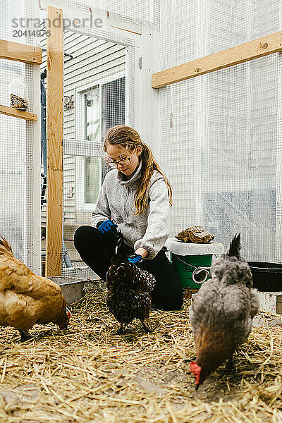 Girl cares for pet chickens in hen house on farm