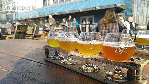 Flight of beers at Allagash Brewery