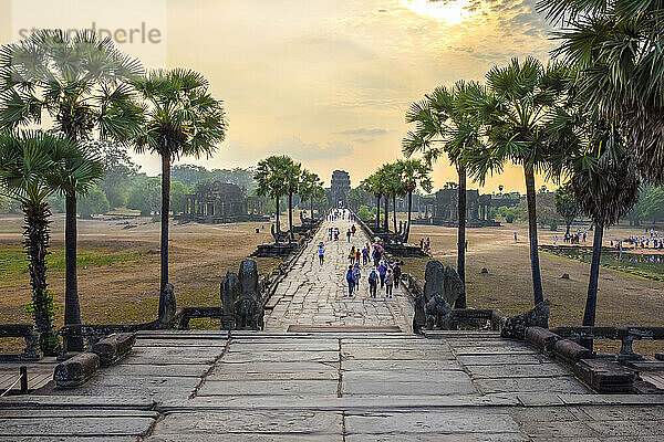 Angkor Wat  Siem reap  Cambodia