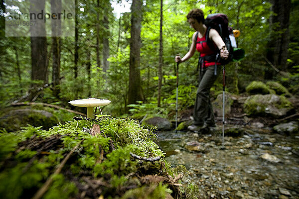 A young woman hikes past a single mushroom buried in moss during a hike.