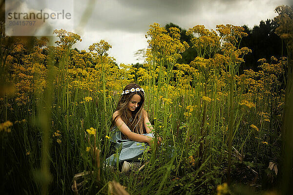 Beautiful young girl sitting in field of yellow flowers