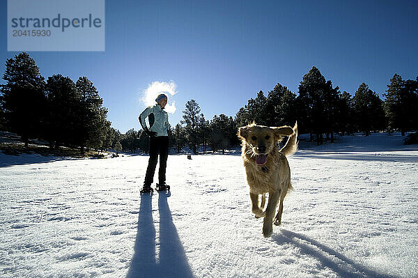 A woman and a dog playing in Coconino Ntional Forest in Flagstaff Arizona on 1/10/2009.