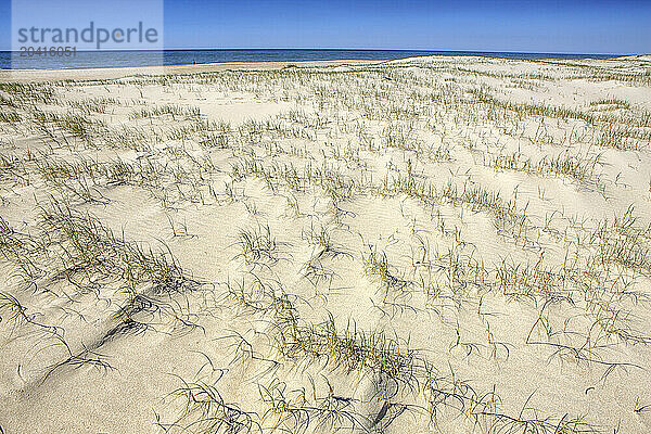 Sao Jacinto Dunes Natural Reserve sandy beach