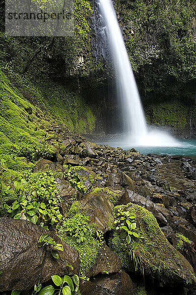 A tropical waterfall crashes down into creek bed (Blurred Motion)