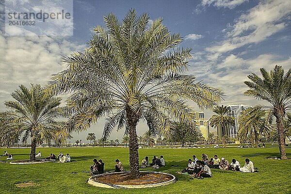 Near to Al Noor Mosque in Sharjah City  United Arab Emirates