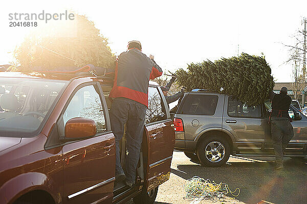 A man ties a Christmas tree to a mini van in the sunshine at a Christmas tree lot in Portland Oregon.