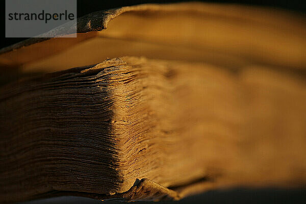 Pages of a book from the 1500's. Photographed in warm sunset light.