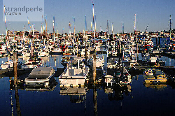 marina  south portland