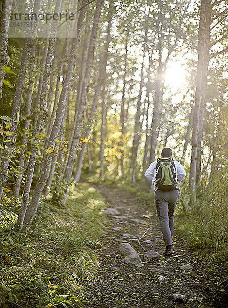 A sun flared back shot of a middle aged male hiking up a trail surrounded by trees.