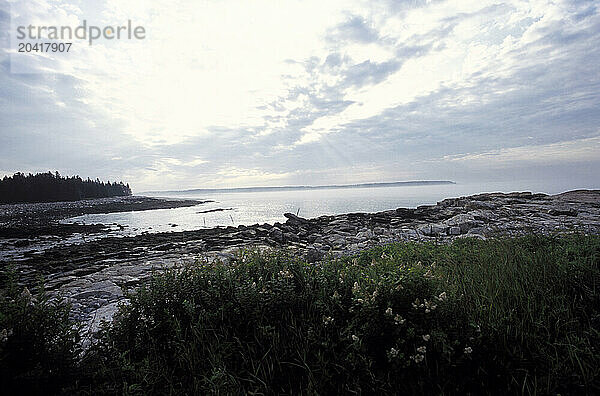 Acadia National Park  Maine