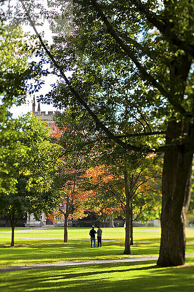 Bowdoin campus in the fall