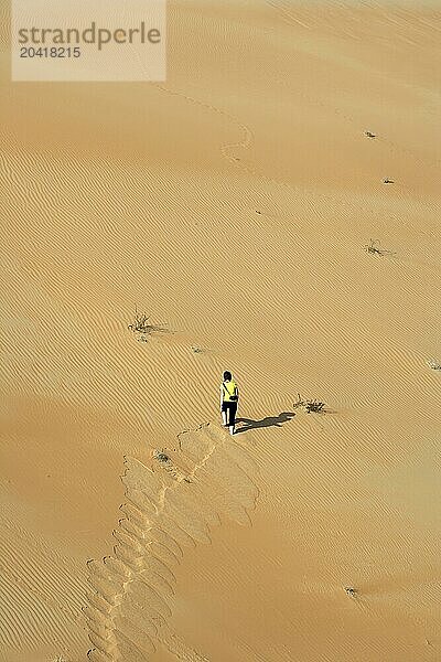 Sand dunes at the Empty Quarter desert in the Emirate of Abu Dhabi  United Arab Emirates