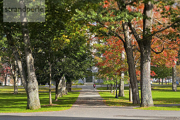 Bowdoin campus in the fall