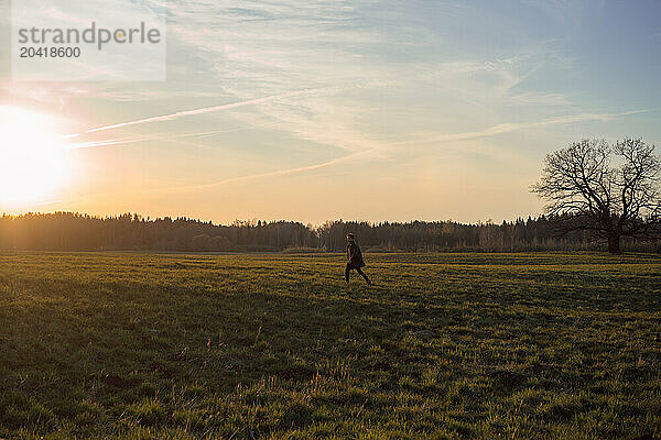 Man walks across the field at sunset.