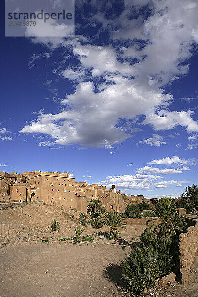 Kasbah Taourirt building in distance and palm trees in foreground